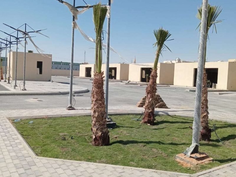 WhatsApp Image 2024-05-16 at 9.43.00 AM (1)